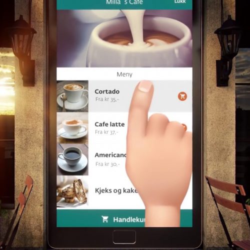 vipps_i_butikk vipps_i_butikk